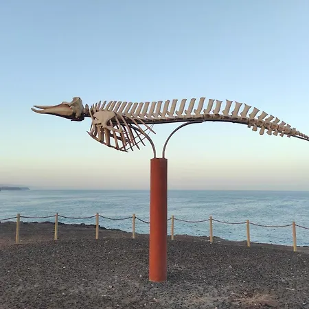 Enjoy El Cotillo (Fuerteventura)